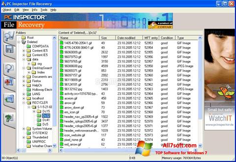 Képernyőkép PC Inspector File Recovery Windows 7