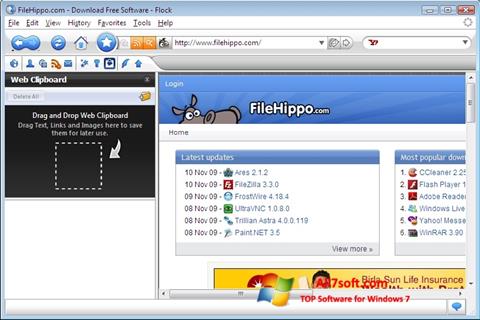 Képernyőkép Flock Windows 7