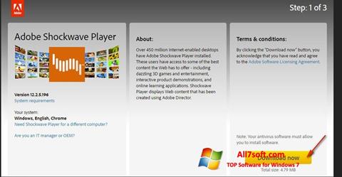 Képernyőkép Shockwave Player Windows 7