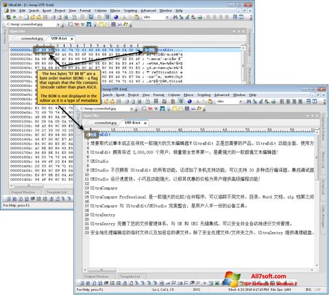 Képernyőkép UltraEdit Windows 7