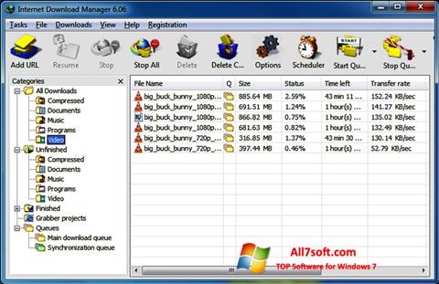 Képernyőkép Internet Download Manager Windows 7