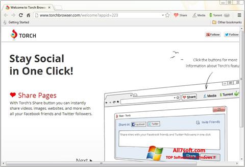 Képernyőkép Torch Browser Windows 7