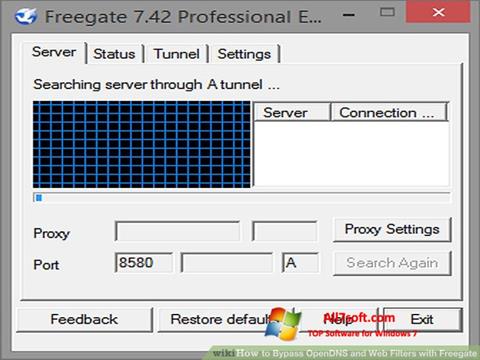 Képernyőkép Freegate Windows 7